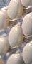 Sant� & laboratoires 