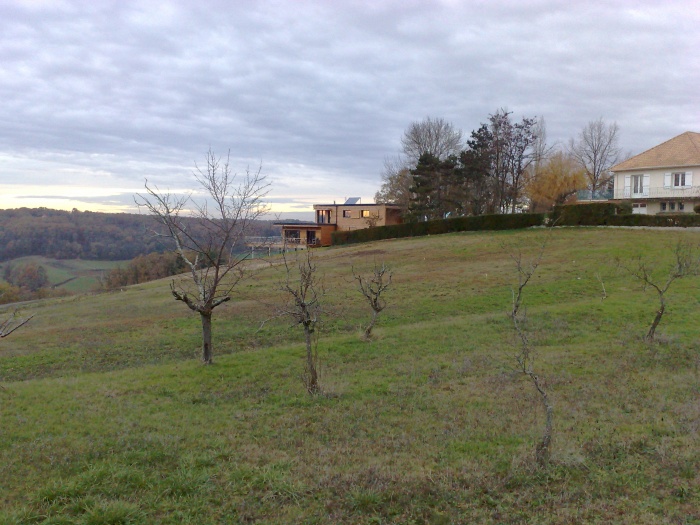 21122009274.jpg