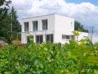 Maison dans les vignes