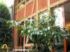 Maison A