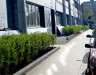 Traitement d'un d�laiss� et d'un pied d'immeuble, Villeurbanne (69)