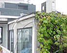 Duplex - Paris 16�me