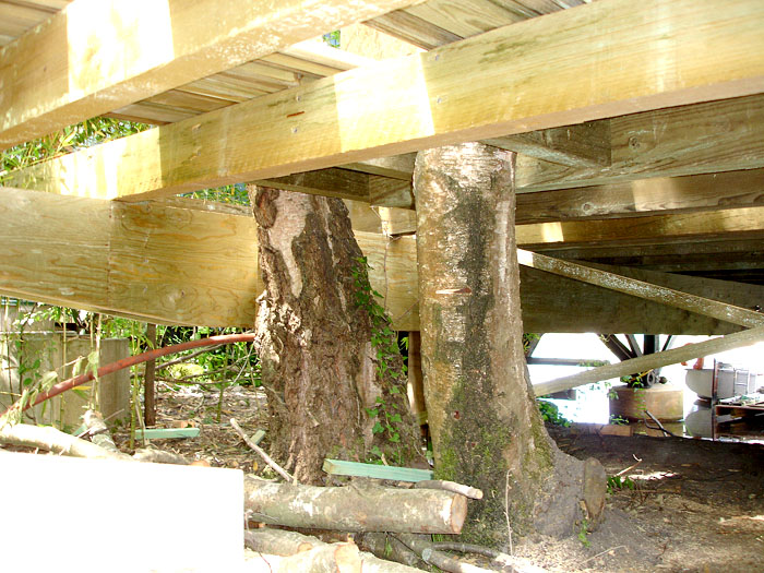 charpente bois de cabane