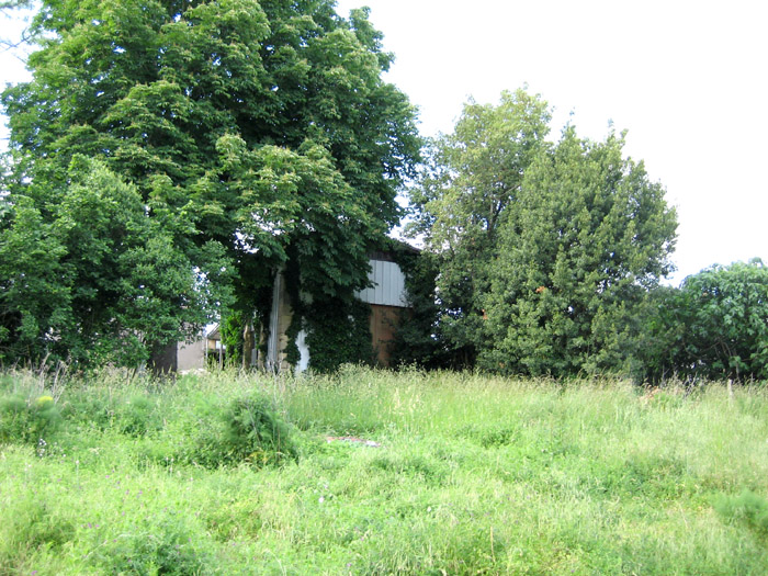 maison dans verdure