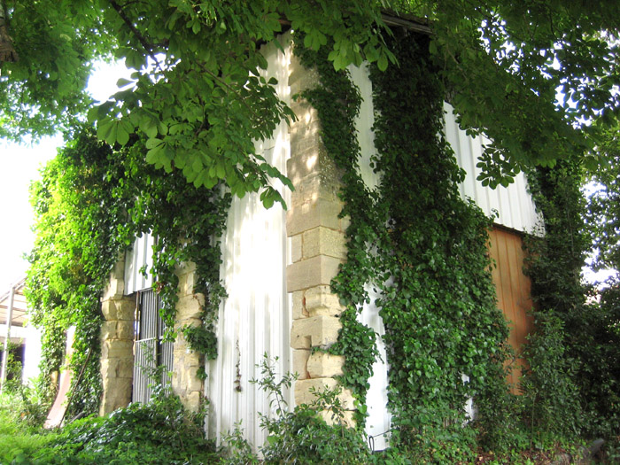 fa�ade de maison, verdure