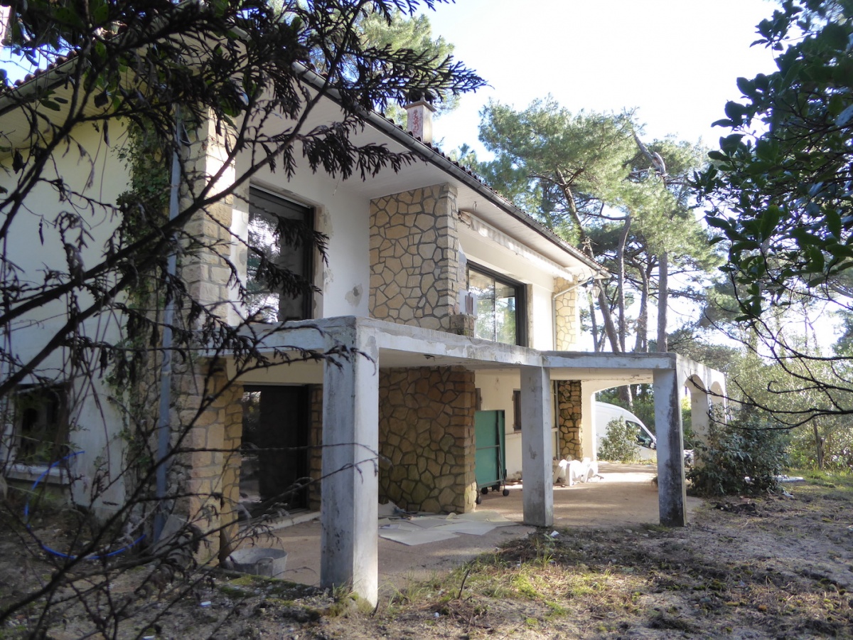 La Maison de Famille au Cap Ferret 2019 : P1150490.JPG