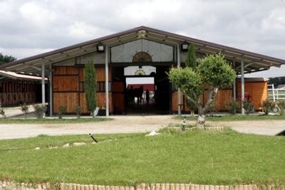 Ecuries, centre de dressage et d'�levage de chevaux