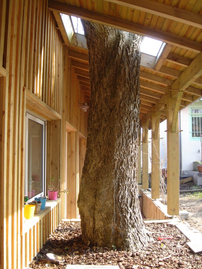 Cabanons en bois : l'arbre conservé