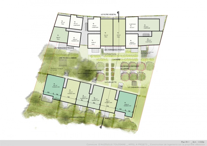Construction de 36 logements à AUZEVILLE : A3 Plan R+1