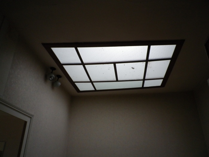 Rénovation d'une échoppe : IMGP1081.JPG